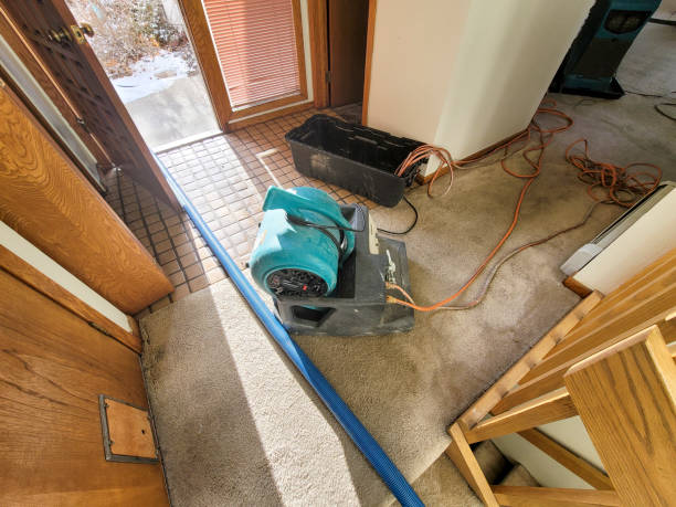 Best Water damage cleanup near me  in Effort, PA
