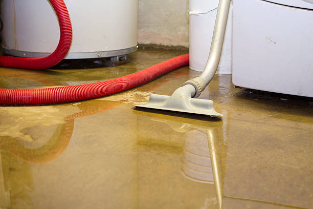 Best Flood restoration services  in Effort, PA