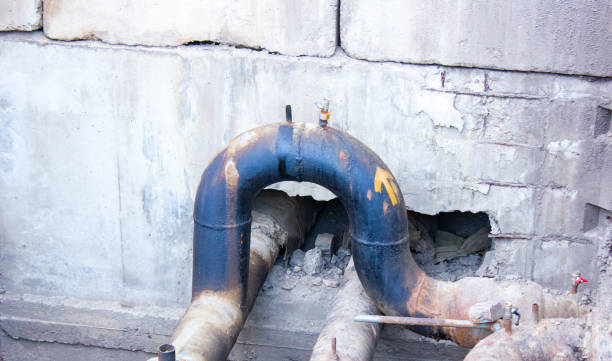 Best Professional water damage repair  in Effort, PA