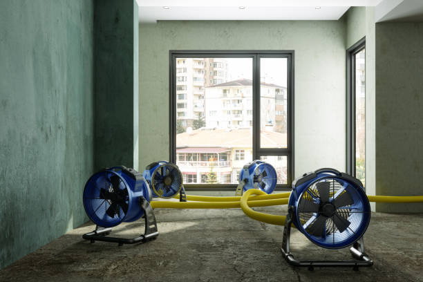 Best Emergency water damage restoration  in Effort, PA
