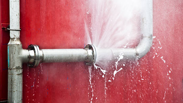 Best Local water damage restoration  in Effort, PA